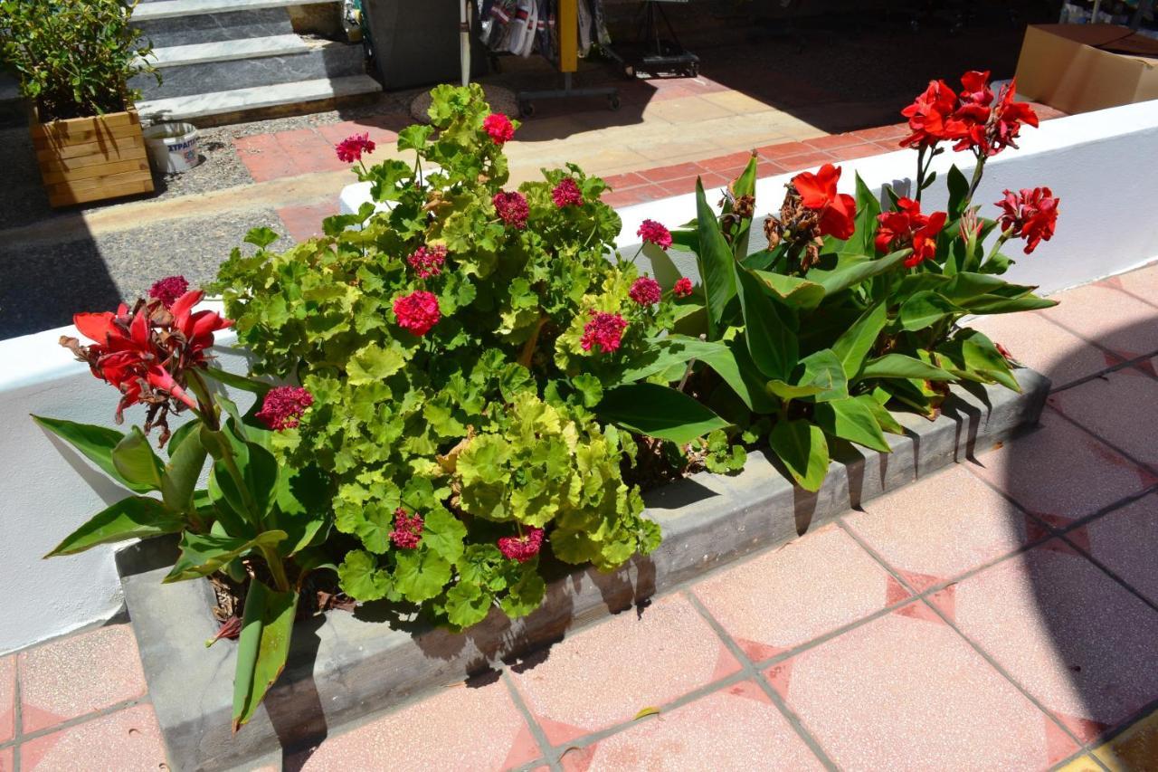 Hotel Arant Мастіхарі Екстер'єр фото